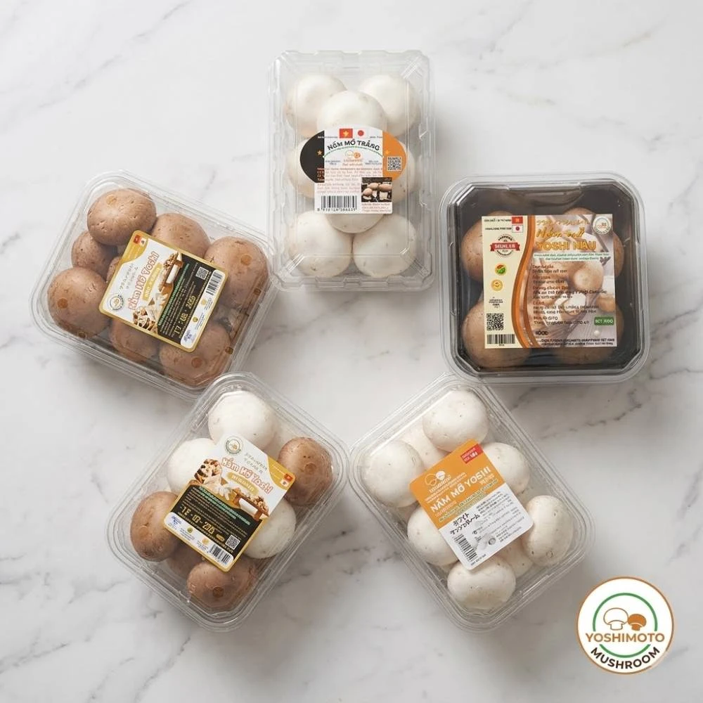 Top 5 thương hiệu nấm và rong biển Tick Xanh tại Kingfoodmart cho người yêu thực phẩm healthy
