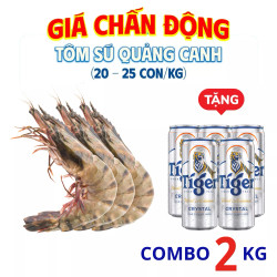 Combo 2KG Tôm Sú Quảng Canh Tươi - Tặng 5 Lon Bia Mát Lạnh