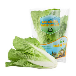 Cải dún Global GAP gói 300g (1 Gói)