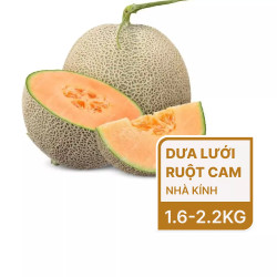 Dưa lưới ruột cam trái từ 1.6kg (1 Trái)