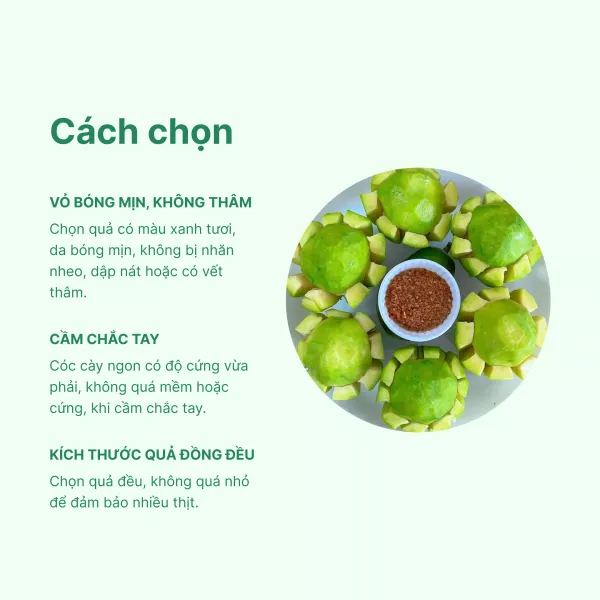 Cóc cày vỉ 5 trái - Chuỗi siêu thị thực phẩm tươi ngon, chất lượng
