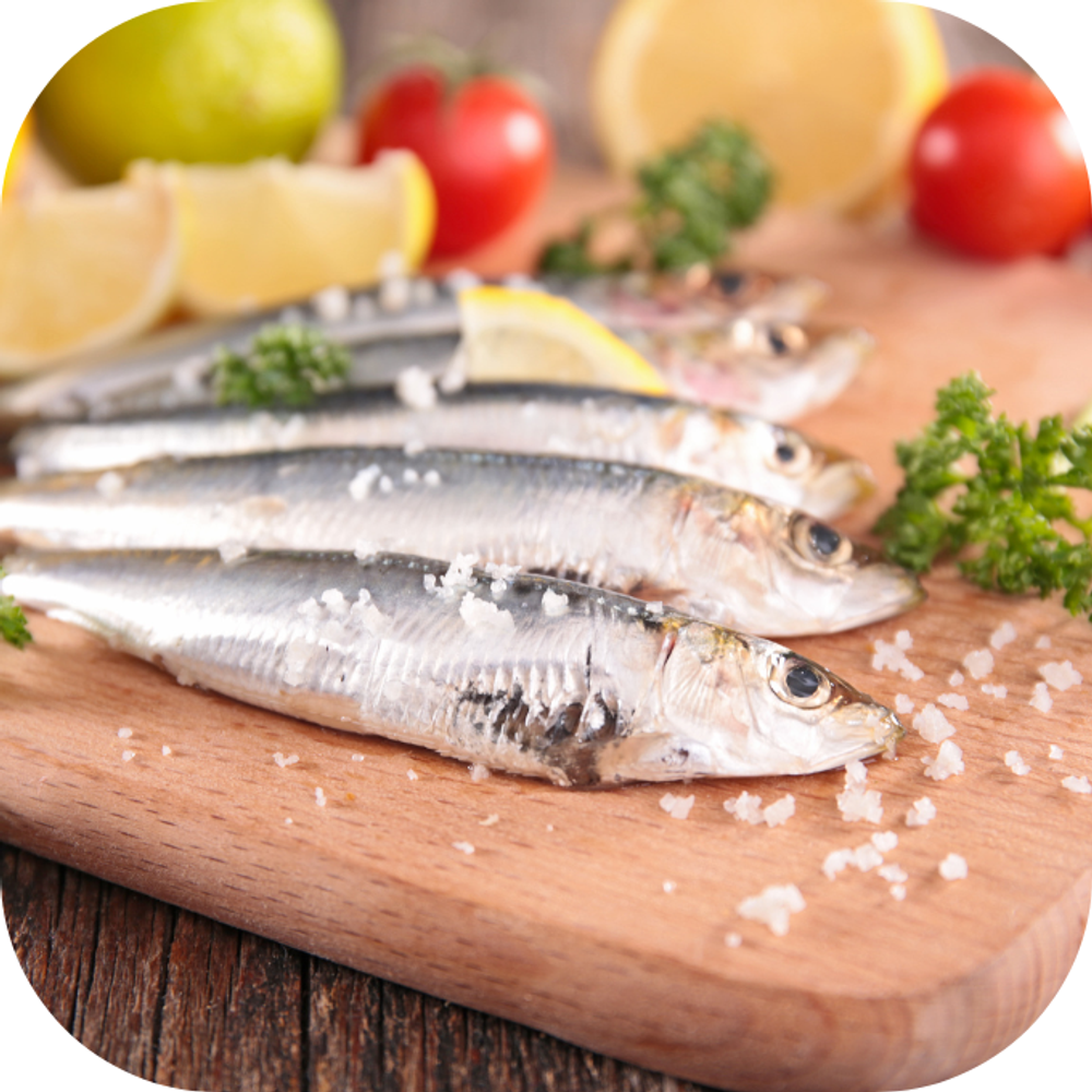 Cá mòi Kingfoodmart