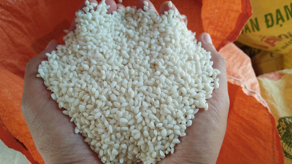 Gạo nếp cái hoa vàng chất lượng cao quyết định thành bại của cách làm xôi lạc truyền thống. (Nguồn: Internet)