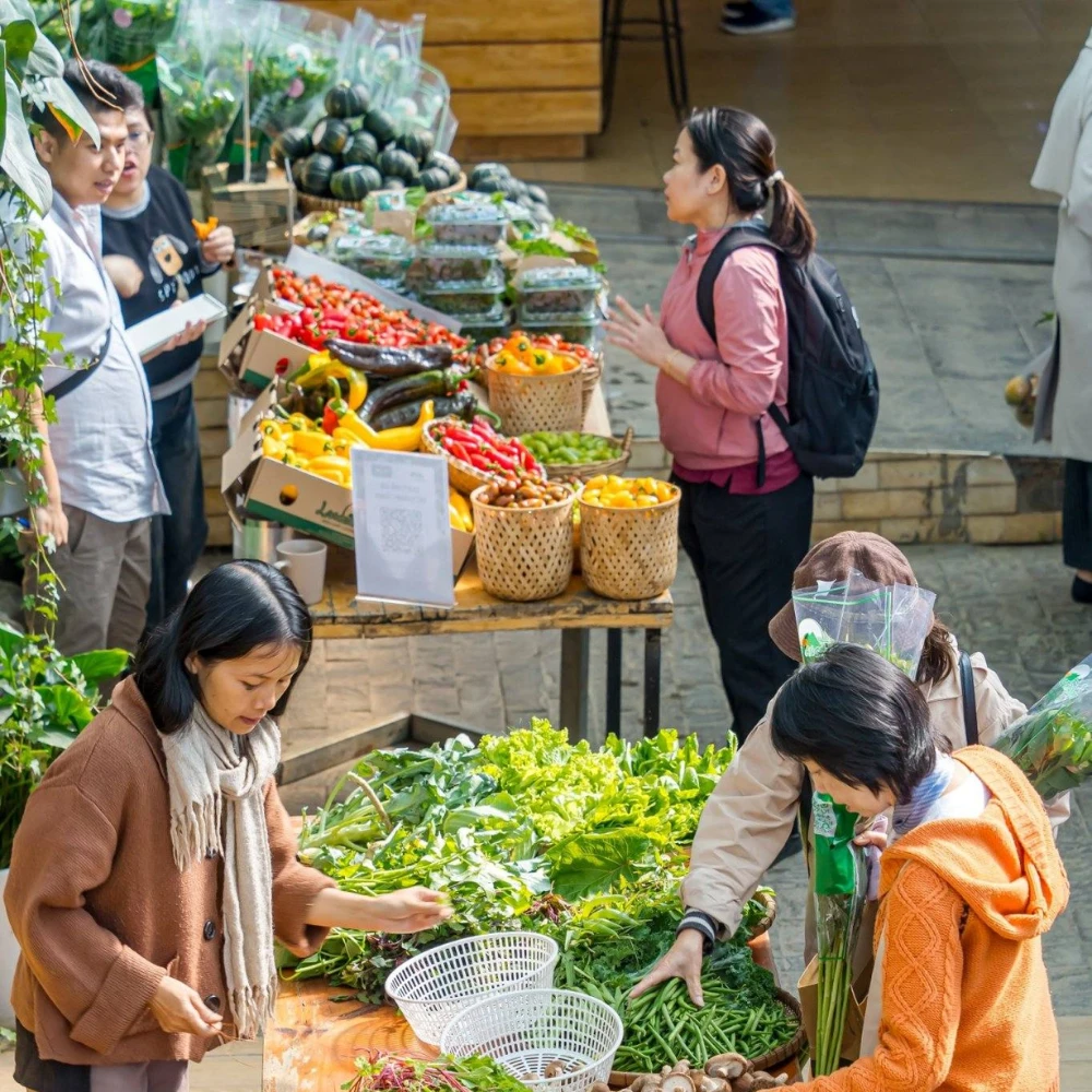 Rau củ quả sạch ứng dụng công nghệ cao của Langbiang Farm an toàn cho bữa ăn gia đình.