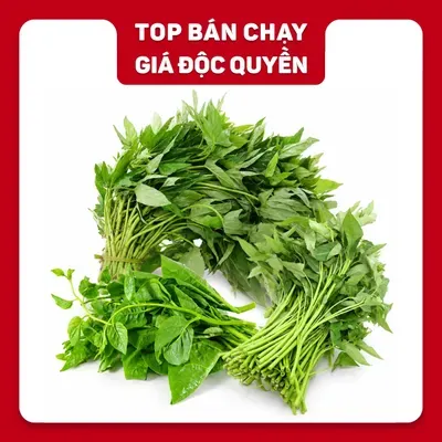 Combo 3 loại rau lá: mồng tơi, rau muống, rau lang