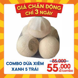 Combo dừa xiêm xanh 5 quả size 300-400g (1 Combo)