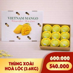Thùng xoài cát Hoà Lộc Phát Lộc 3.6kg (9 Trái)