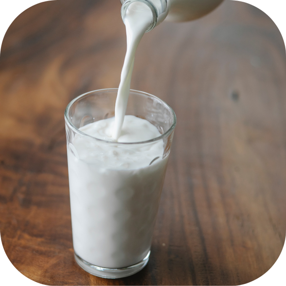 sữa, sô cô la Kingfoodmart