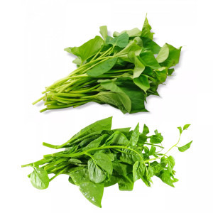 Combo Rau lang hữu cơ VietRat gói 300g & Rau mồng tơi Vietgap gói 300g