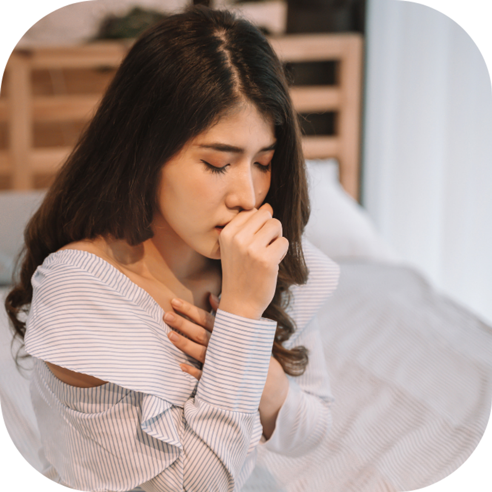 Cây đại bi và những bài thuốc chữa bệnh kingfoodmart