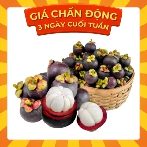 Măng cụt hộp 1kg