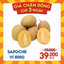 Sapoche vỉ 800g up (1 Vỉ)