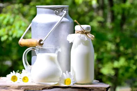 Sự kết hợp giữa nước cam và sữa: lợi ích và cảnh báo sức khỏe