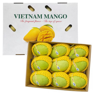 Thùng xoài cát Hoà Lộc Phát Lộc 3.6kg (9 Trái)