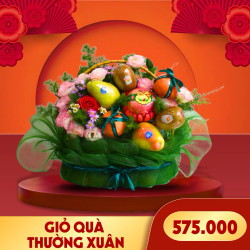 Giỏ quà trái cây Thường Xuân (1 Giỏ)