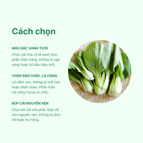 Cải thìa baby DalatGap gói 300g