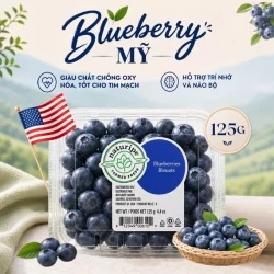 Blueberry Mỹ hộp 125g