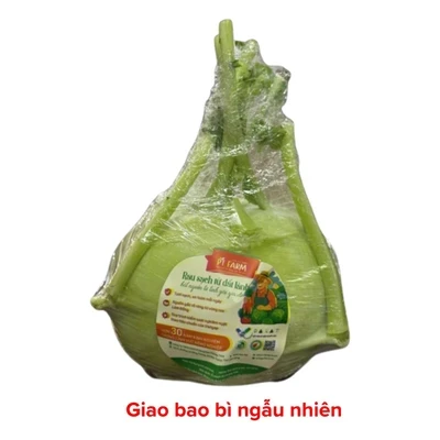 Su hào Đà Lạt VietGAP củ 400-550g