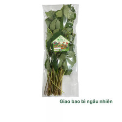 Diếp cá (Dấp cá) VietGap gói 100g (1 Gói)