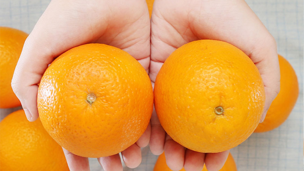 am Vàng Jaffa kingfoodmart