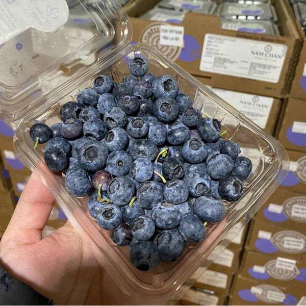 Thùng blueberry 125g (12 Hộp) - Chuỗi siêu thị thực phẩm tươi ngon