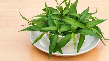 Những lợi ích và lưu ý khi ăn rau răm