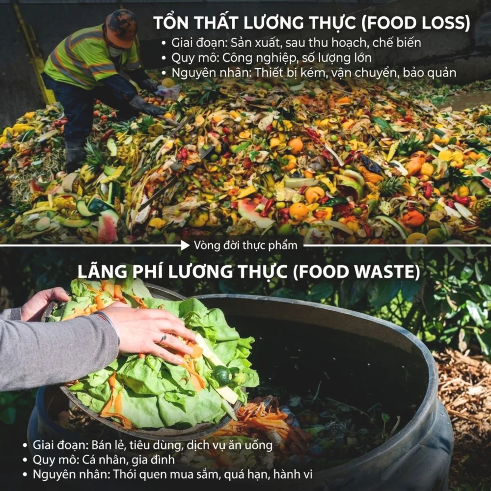 Food-waste-2