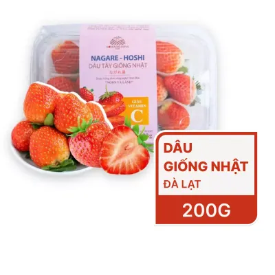 Dâu giống Nhật Nagare Hoshi (M) hộp 200g
