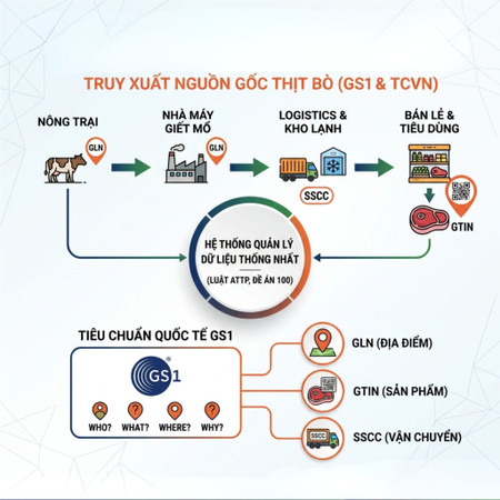 Truy xuất nguồn gốc thịt bò: Hành trình minh bạch từ trang trại đến bàn ăn