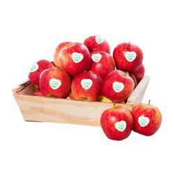 Táo Ambrosia Canada (1Kg)