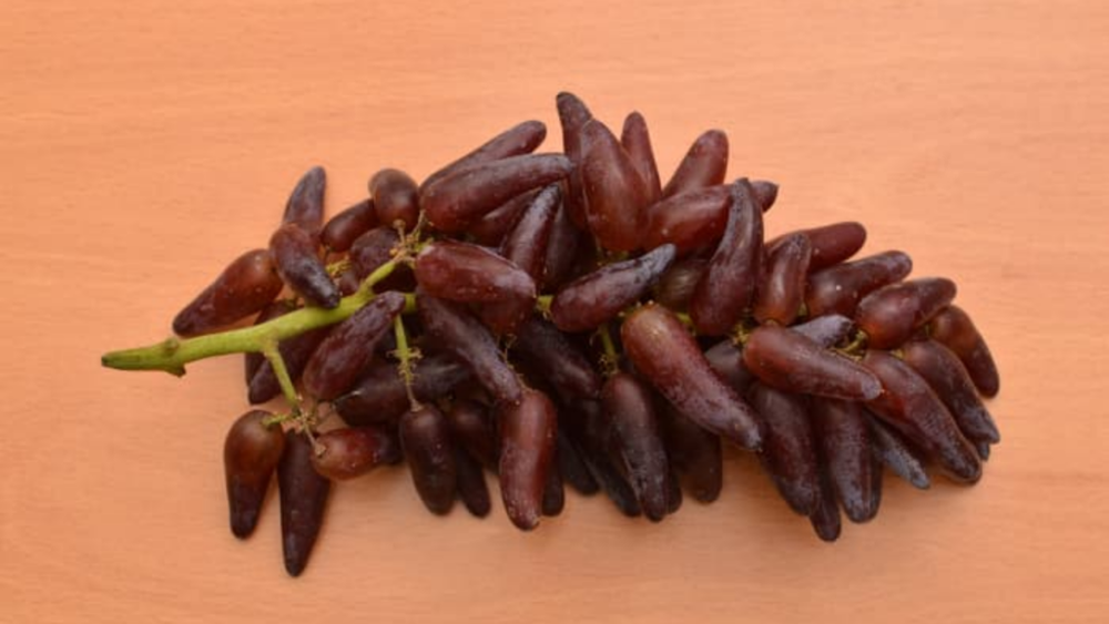 Hình dáng và hương vị của nho đen móng tay