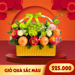 Giỏ quà trái cây Sắc Màu (1 Giỏ)