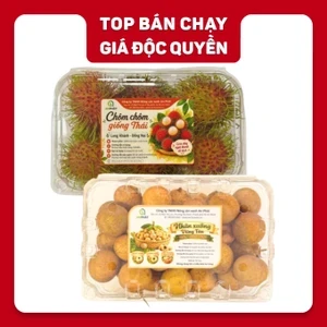 Combo trái cây mùa hè: nhãn xuồng cơm vàng và chôm chôm Thái