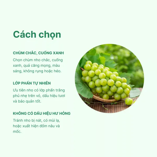 Nho xanh Mỹ không hạt hộp 150g