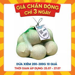 Combo dừa xiêm xanh túi 10 trái nhỏ size 200-300g (1 Túi)
