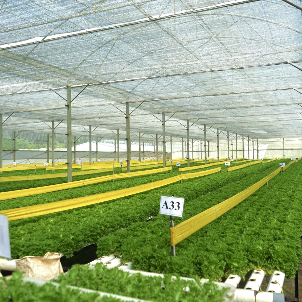 Hệ thống nhà kính thông minh, có khả năng tự động đóng/mở màn che theo điều kiện thời tiết. 
