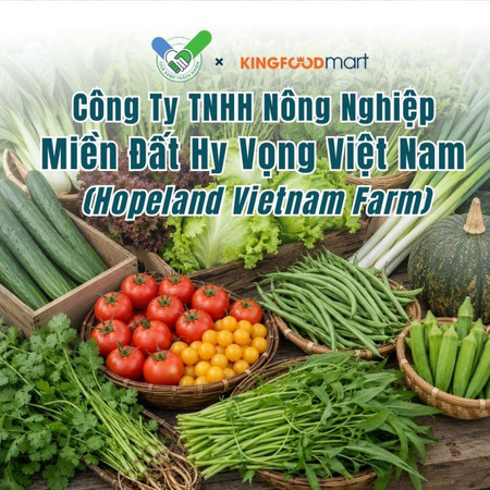 Công ty TNHH Nông Nghiệp Miền Đất Hy Vọng Việt Nam (Hopeland Vietnam Farm): Rau hữu cơ trong nhóm Tick Xanh Kingfoodmart