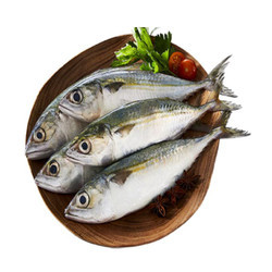 Cá bạc má sạch 8-10 con/kg vỉ 300g (1 Vỉ)