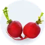 Củ, quả