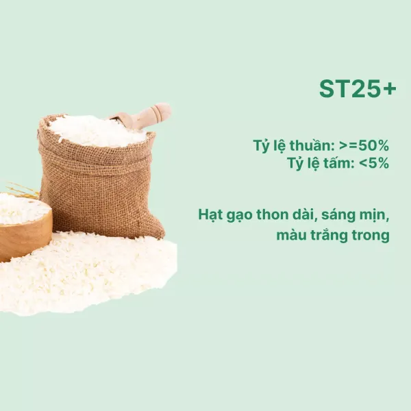 Gạo thơm dẻo đặc biệt ST25+ Neptune túi 5kg
