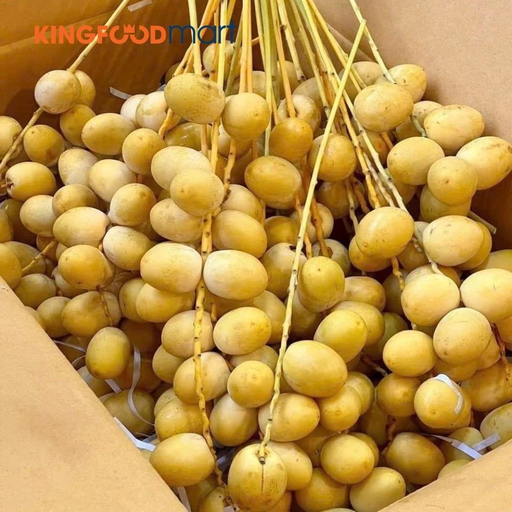 Các vùng canh tác chà là lớn tại Thái Lan (như Kanchanaburi hay Suphan Buri) đã tận dụng tối đa nền nhiệt độ cao quanh năm.