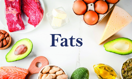 Vai trò của chất béo đối với cơ thể