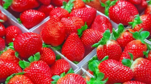 9 loại dâu tây ngọt dễ ăn bạn nên biết!