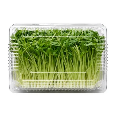Mầm Hà Lan gói 150g