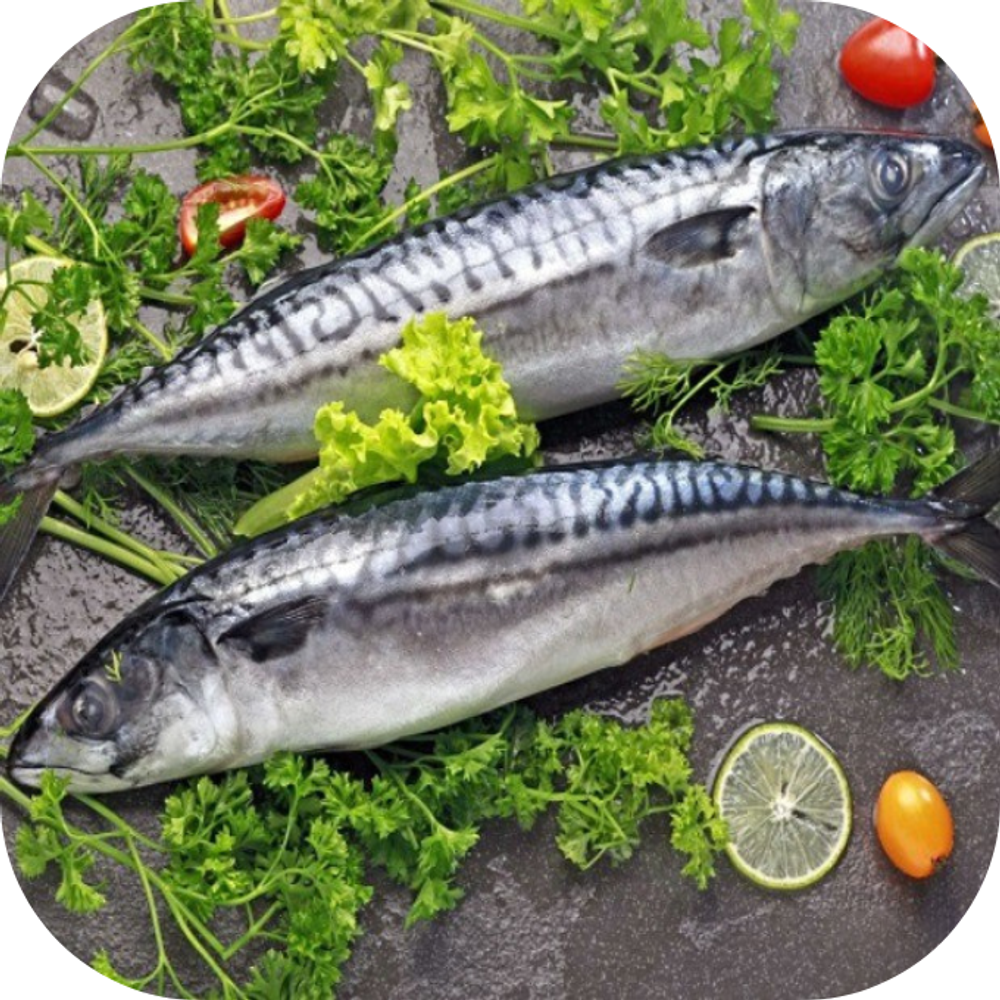 Cá thu Kingfoodmart