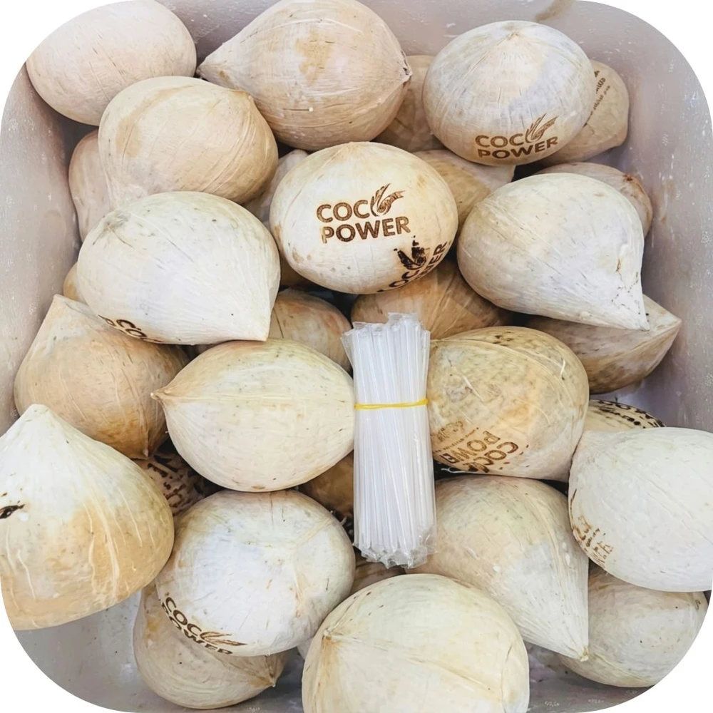 Coco-Power-4
