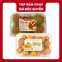 Combo trái cây mùa hè: nhãn xuồng cơm vàng và chôm chôm Thái