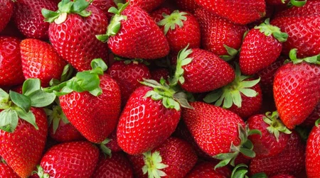 Dâu Highberry – Dâu tây thượng hạng Hàn Quốc