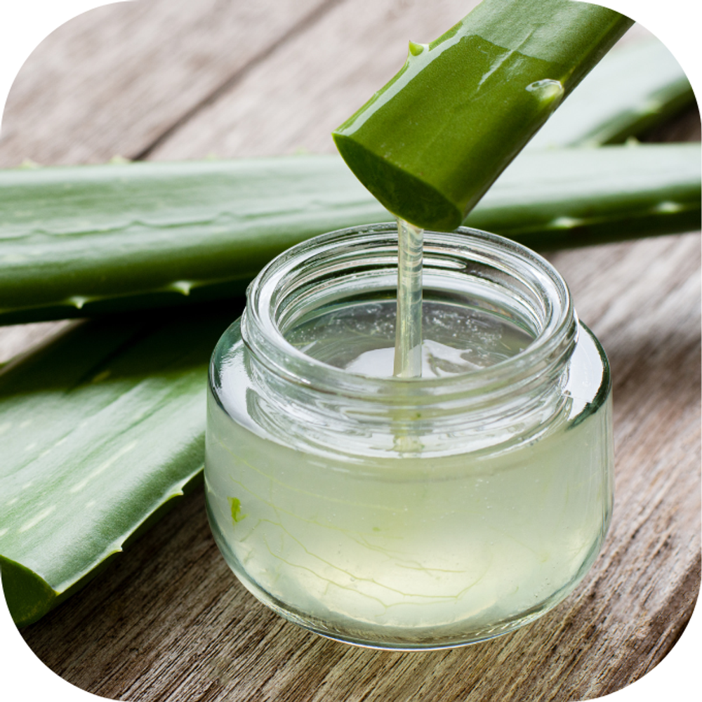 Nha đam Kingfoodmart