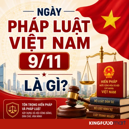 Ngày Pháp luật Việt Nam 9/11: Ý nghĩa và vai trò trong đời sống hiện đại